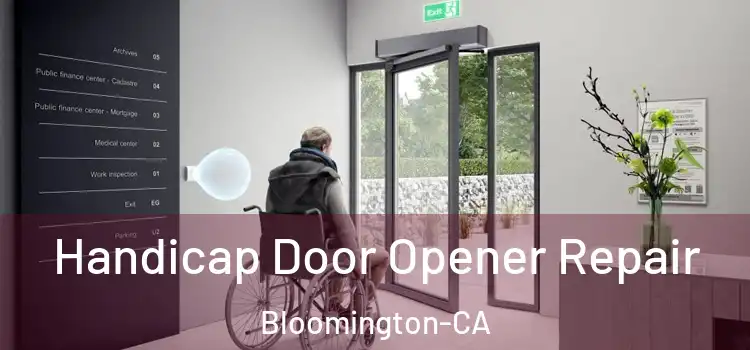  Handicap Door Opener Repair Bloomington-CA