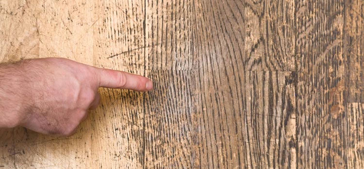 Wood Door Scratch Repair in Bloomington